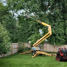 Best Lawn Mowing  in Pirtleville, AZ