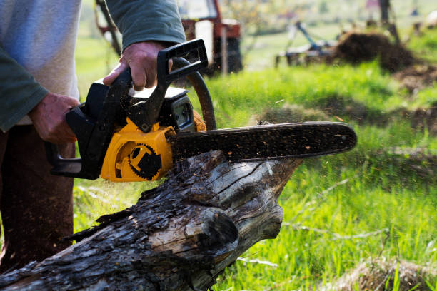 Best Aeration Services  in Pirtleville, AZ